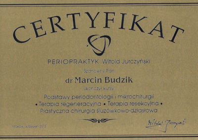 certyfikat20002